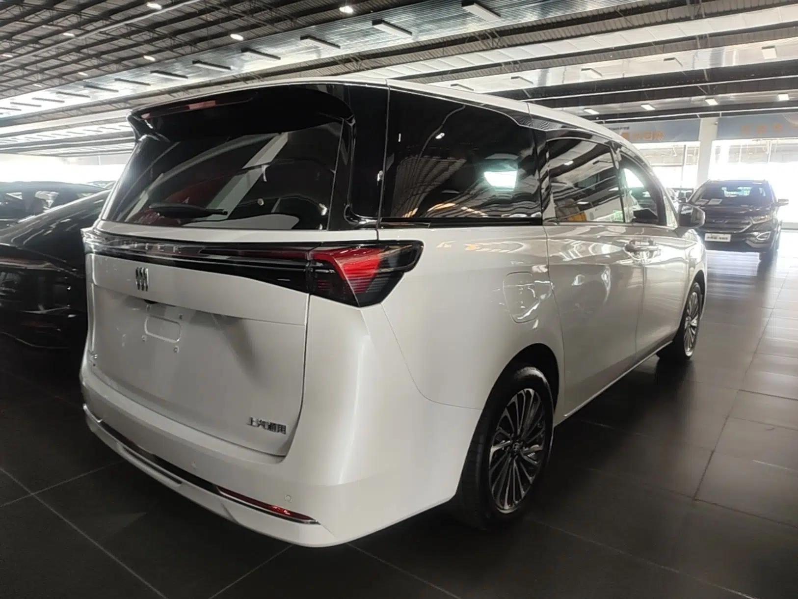 Buick GL8 New Energy 2025 Lu Shang Luxury Edition 7-Seater — миниатюра 6