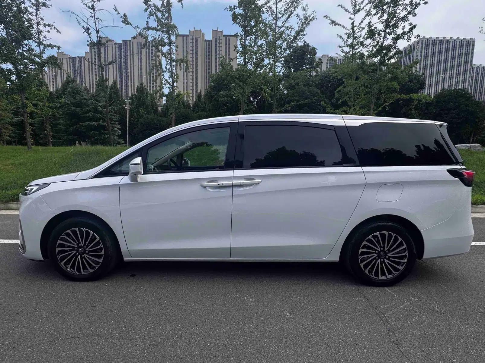 Buick GL8 New Energy 2025 Lu Shang Luxury Edition 7-Seater — миниатюра 13