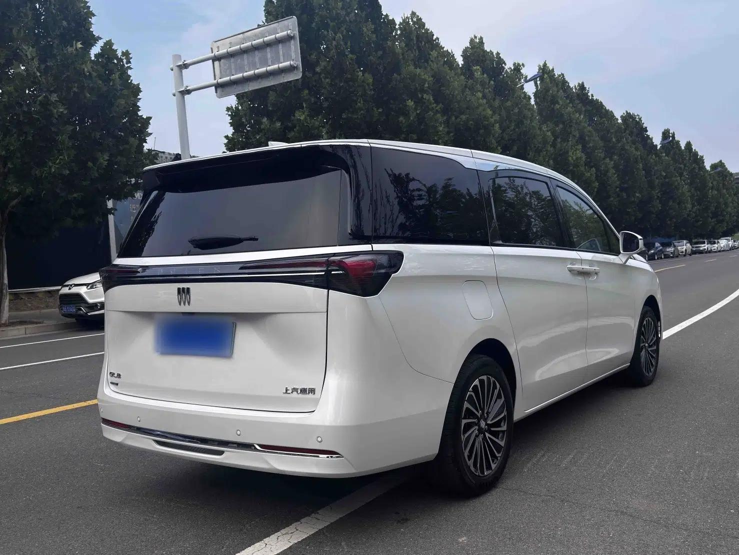Buick GL8 New Energy 2025 Lu Shang Luxury Edition 7-Seater — миниатюра 14
