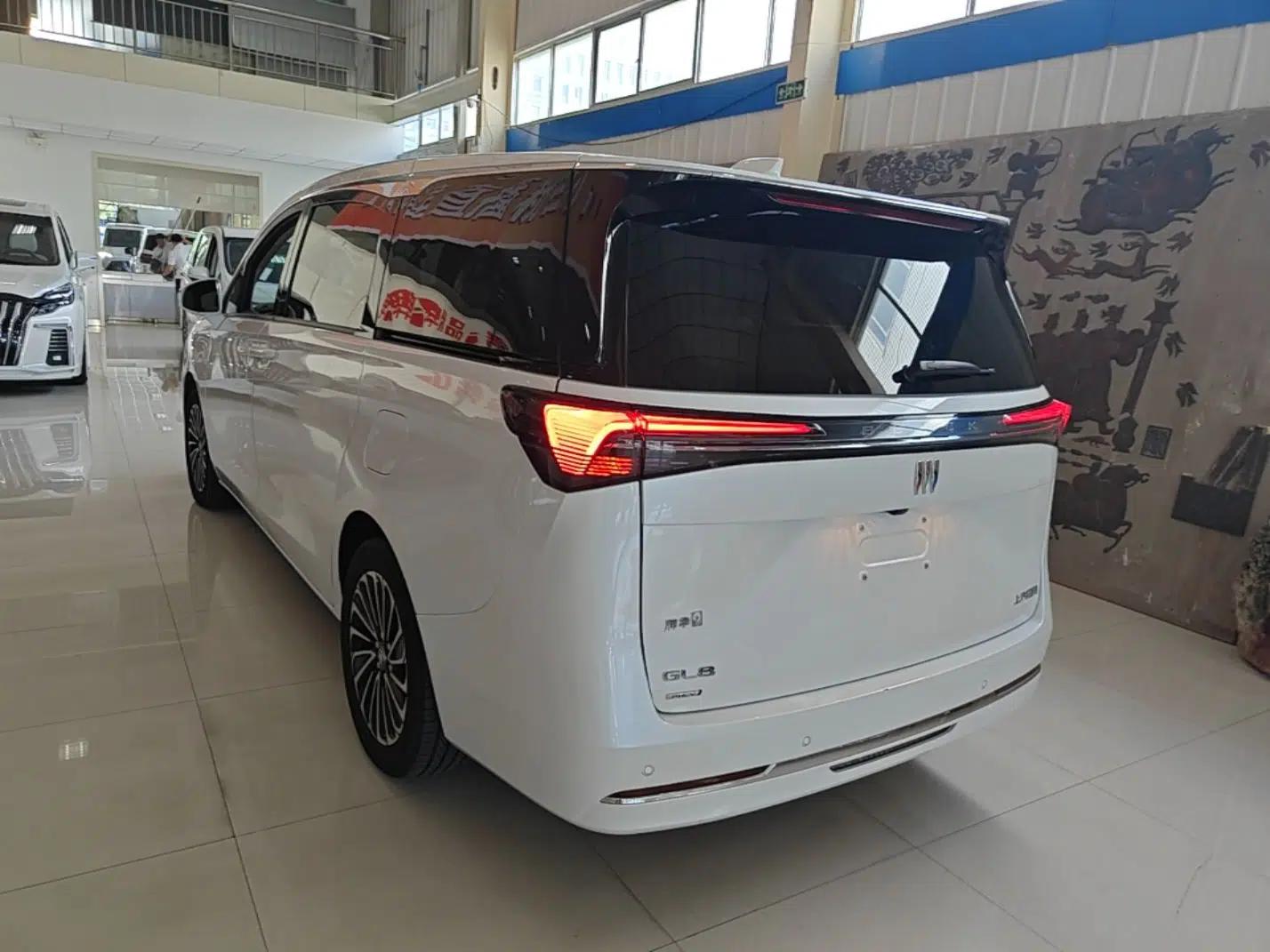 Buick GL8 New Energy 2025 Lu Shang Luxury Edition 7-Seater — миниатюра 4