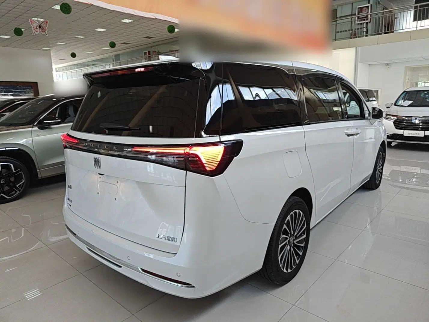 Buick GL8 New Energy 2025 Lu Shang Luxury Edition 7-Seater — миниатюра 6