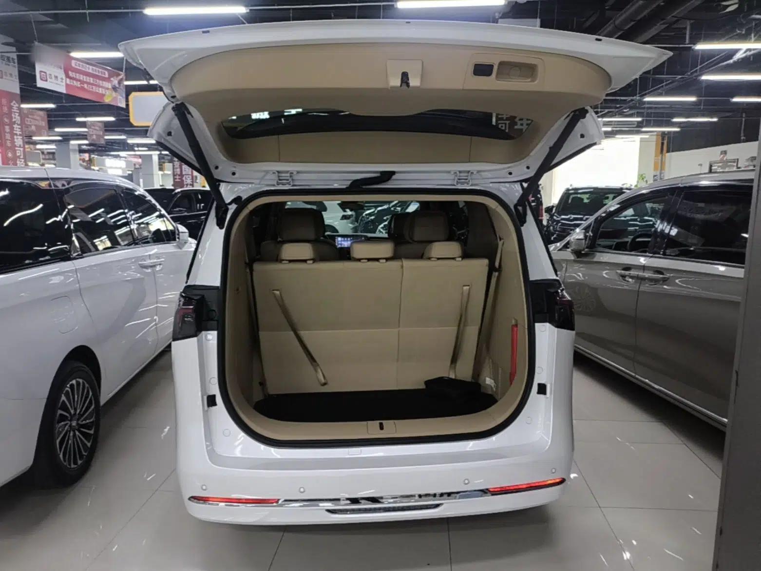 Buick GL8 New Energy 2025 Lu Shang Luxury Edition 7-Seater — миниатюра 34