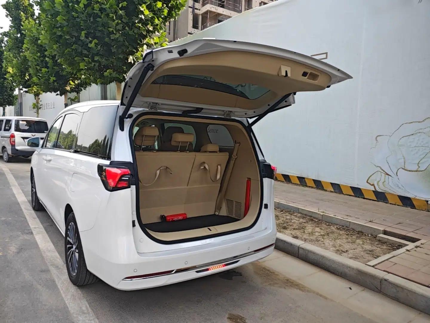 Buick GL8 New Energy 2025 Lu Shang Luxury Edition 7-Seater — миниатюра 27