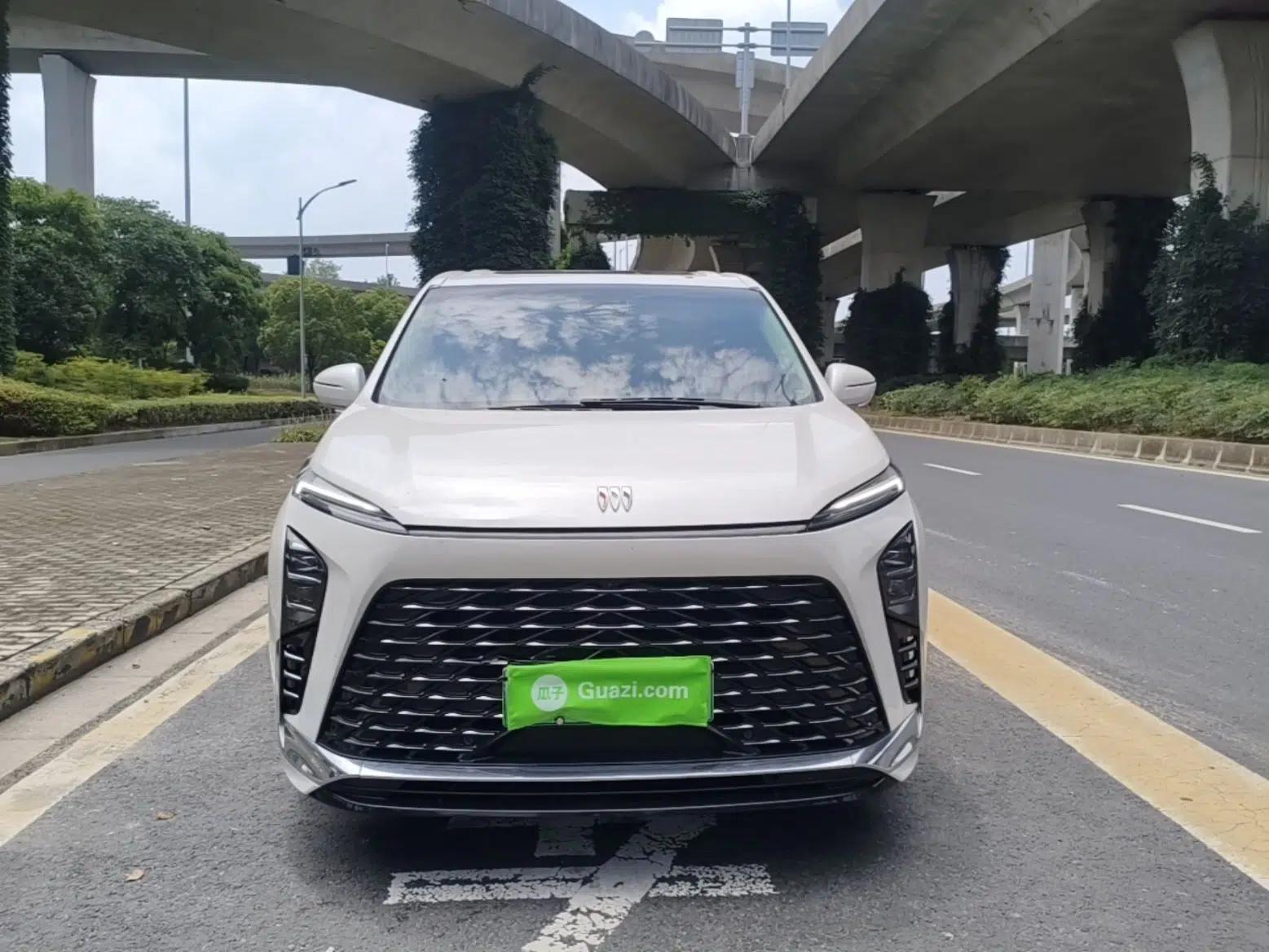 Buick GL8 New Energy 2024 Lu Zun Luxury Edition 6-Seater — миниатюра 2