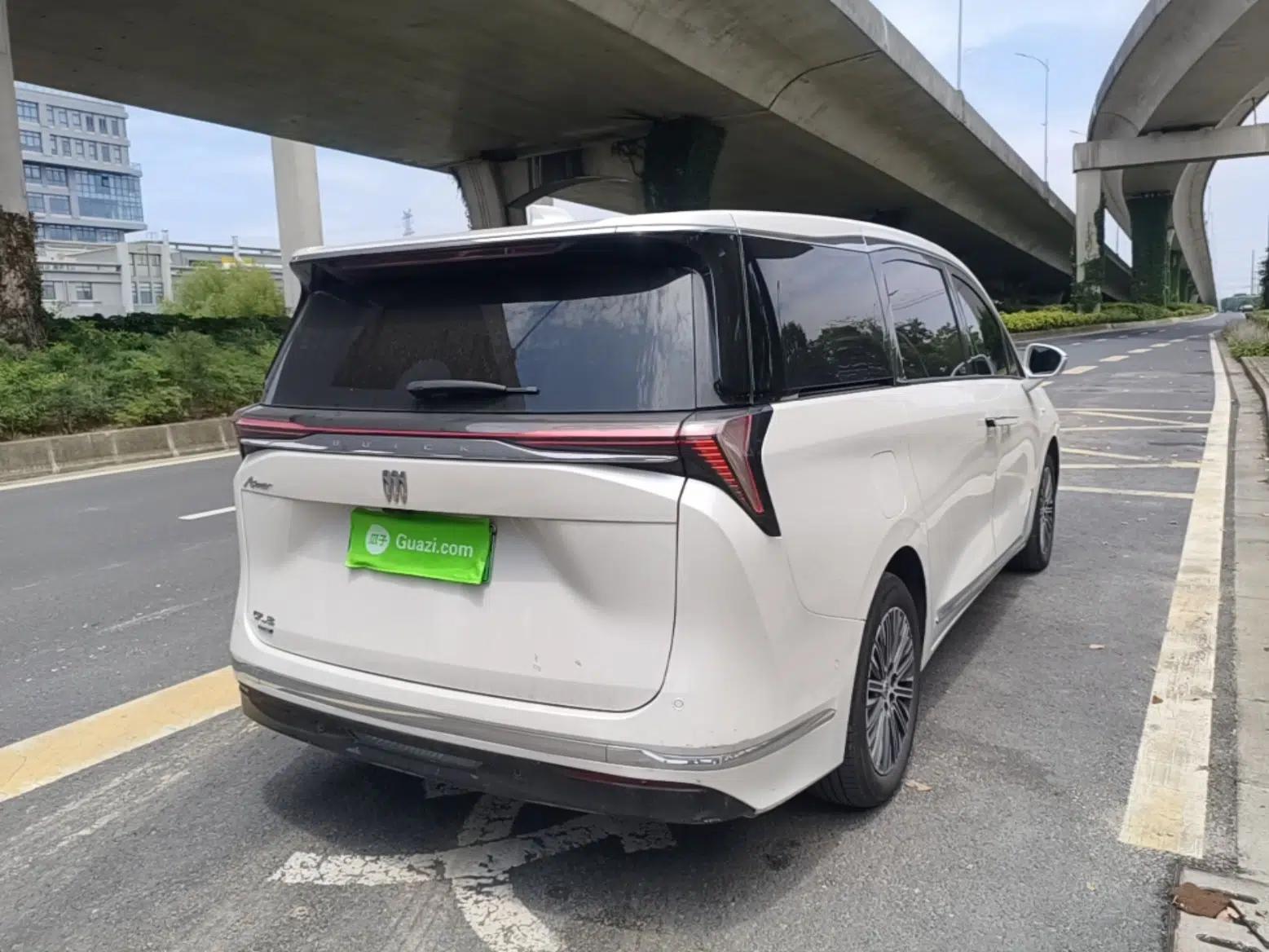 Buick GL8 New Energy 2024 Lu Zun Luxury Edition 6-Seater — миниатюра 6