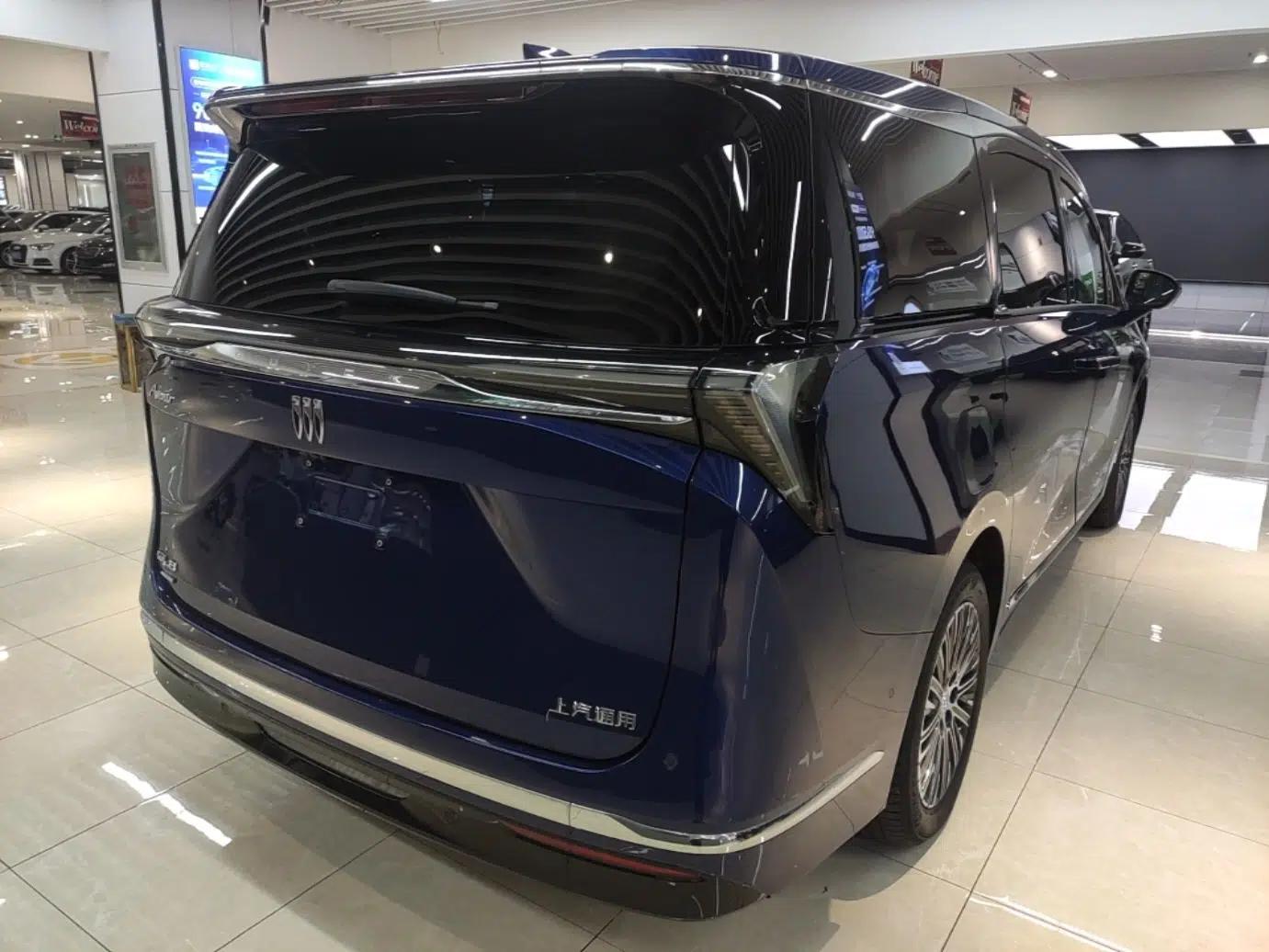 Buick GL8 New Energy 2024 Lu Zun Luxury Edition 6-Seater — миниатюра 6