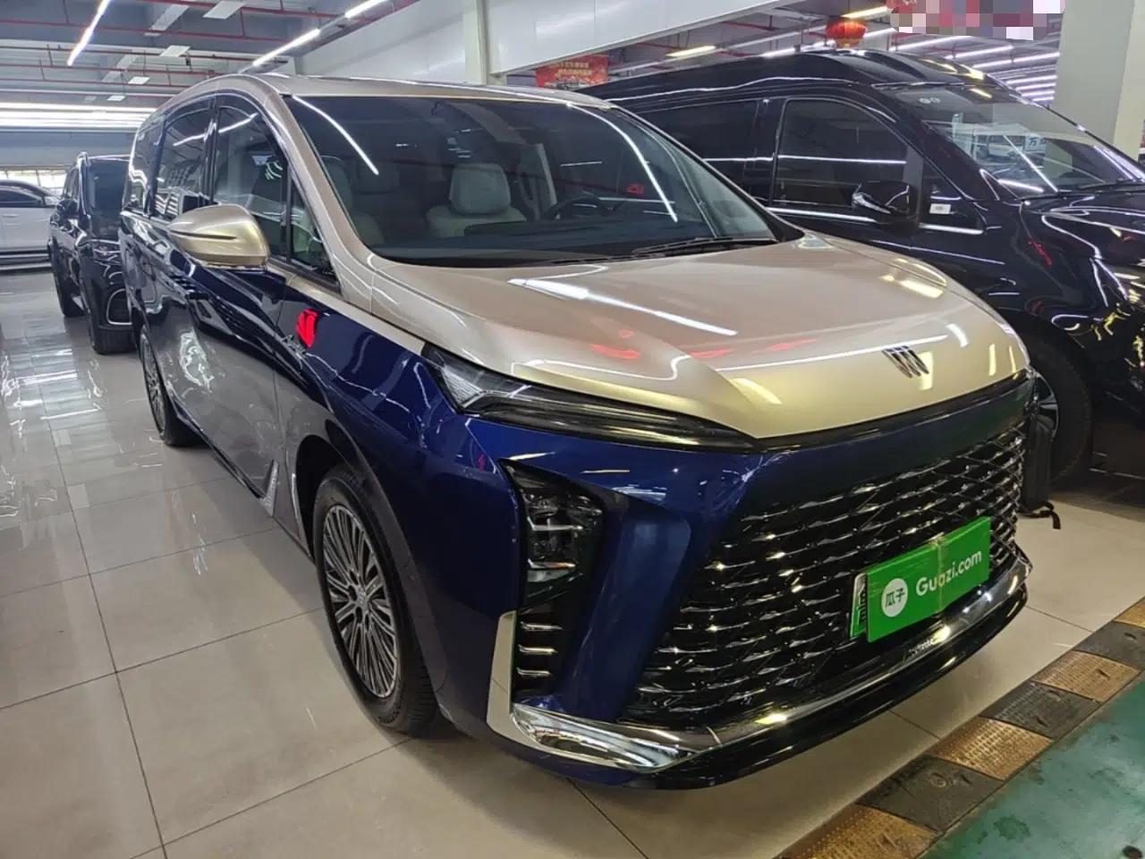Buick GL8 New Energy 2024 Lu Zun Luxury Edition 7-Seater — миниатюра 3