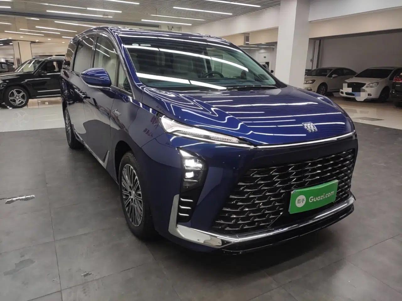 Buick GL8 New Energy 2024 Lu Zun Luxury Edition 6-Seater — миниатюра 3