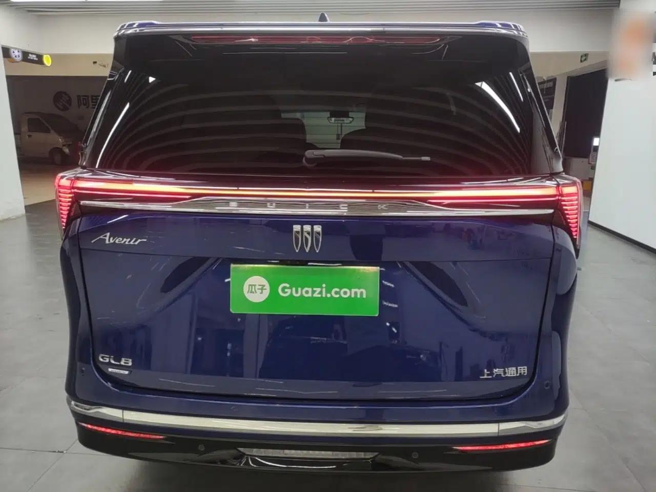 Buick GL8 New Energy 2024 Lu Zun Luxury Edition 6-Seater — миниатюра 5