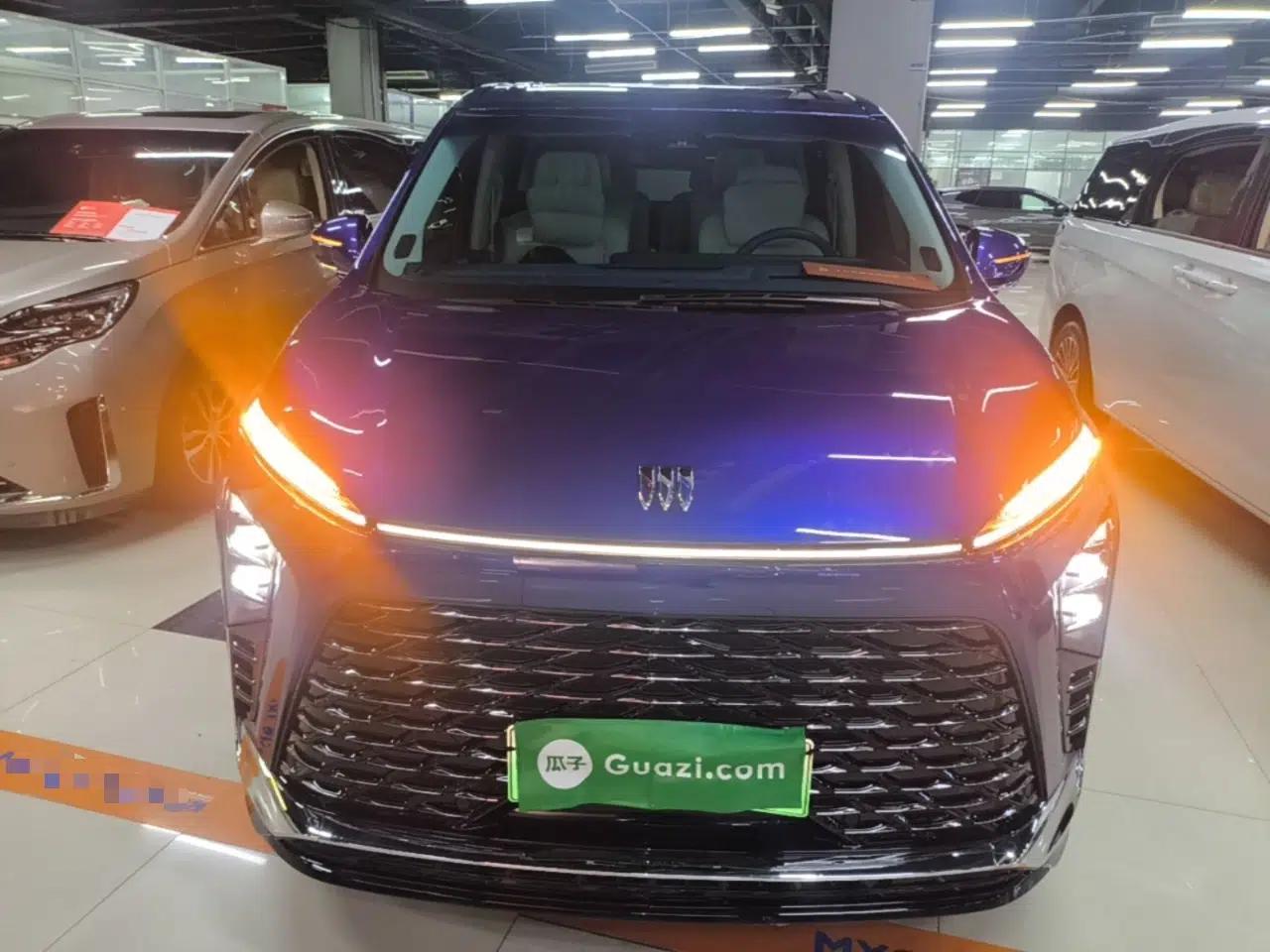Buick GL8 New Energy 2024 Lu Zun Luxury Edition 6-Seater — миниатюра 2