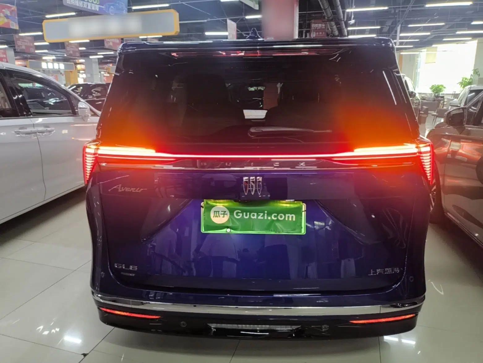 Buick GL8 New Energy 2024 Lu Zun Luxury Edition 6-Seater — миниатюра 5