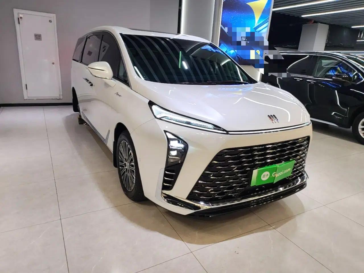 Buick GL8 New Energy 2024 Lu Zun Luxury Edition 7-Seater — миниатюра 12