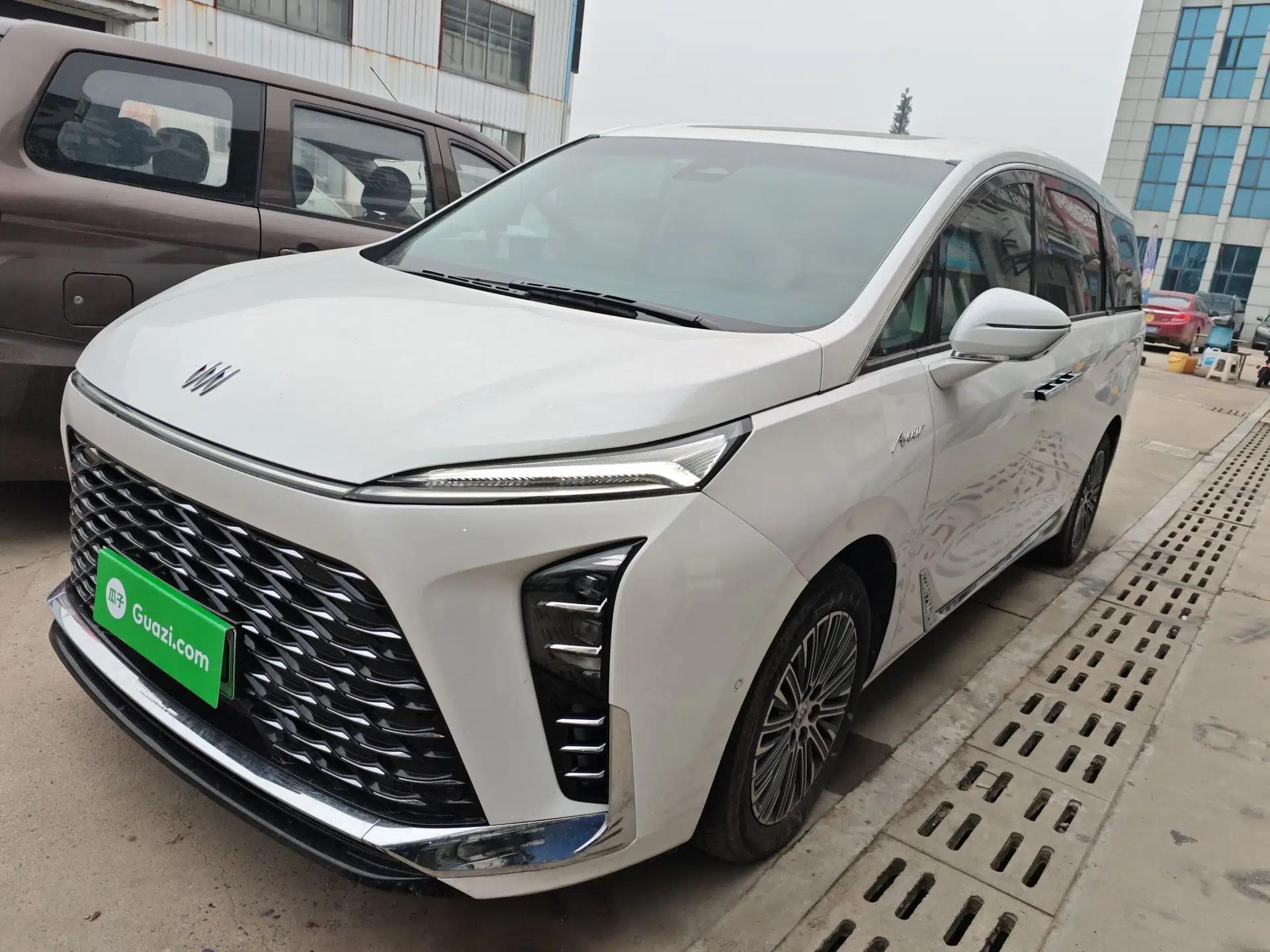 Buick GL8 New Energy 2024 Lu Zun Luxury Edition 7-Seater — миниатюра 1