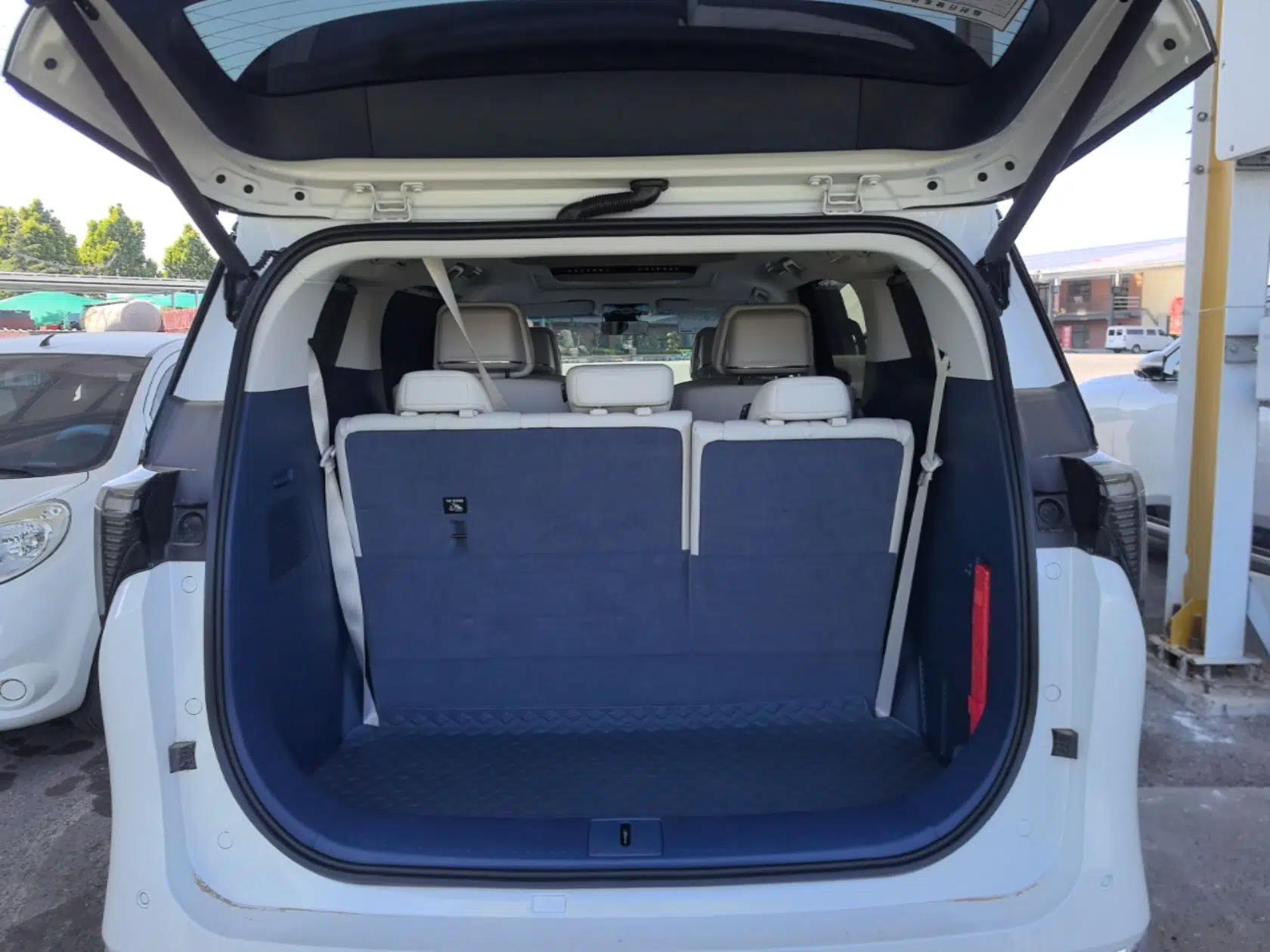 Buick GL8 New Energy 2024 Lu Zun Luxury Edition 7-Seater — миниатюра 22