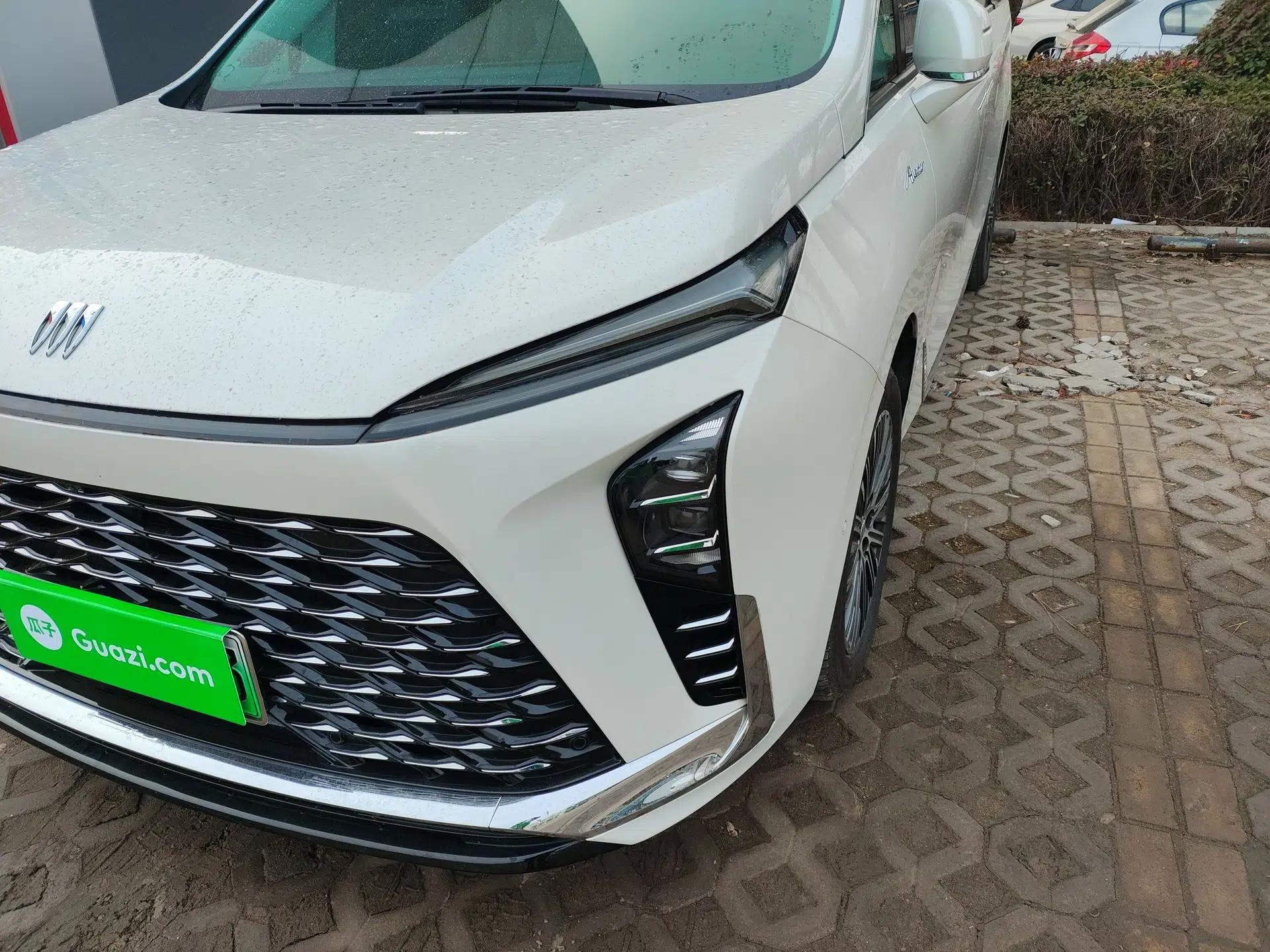 Buick GL8 New Energy 2024 Lu Zun Luxury Edition 7-Seater — миниатюра 8