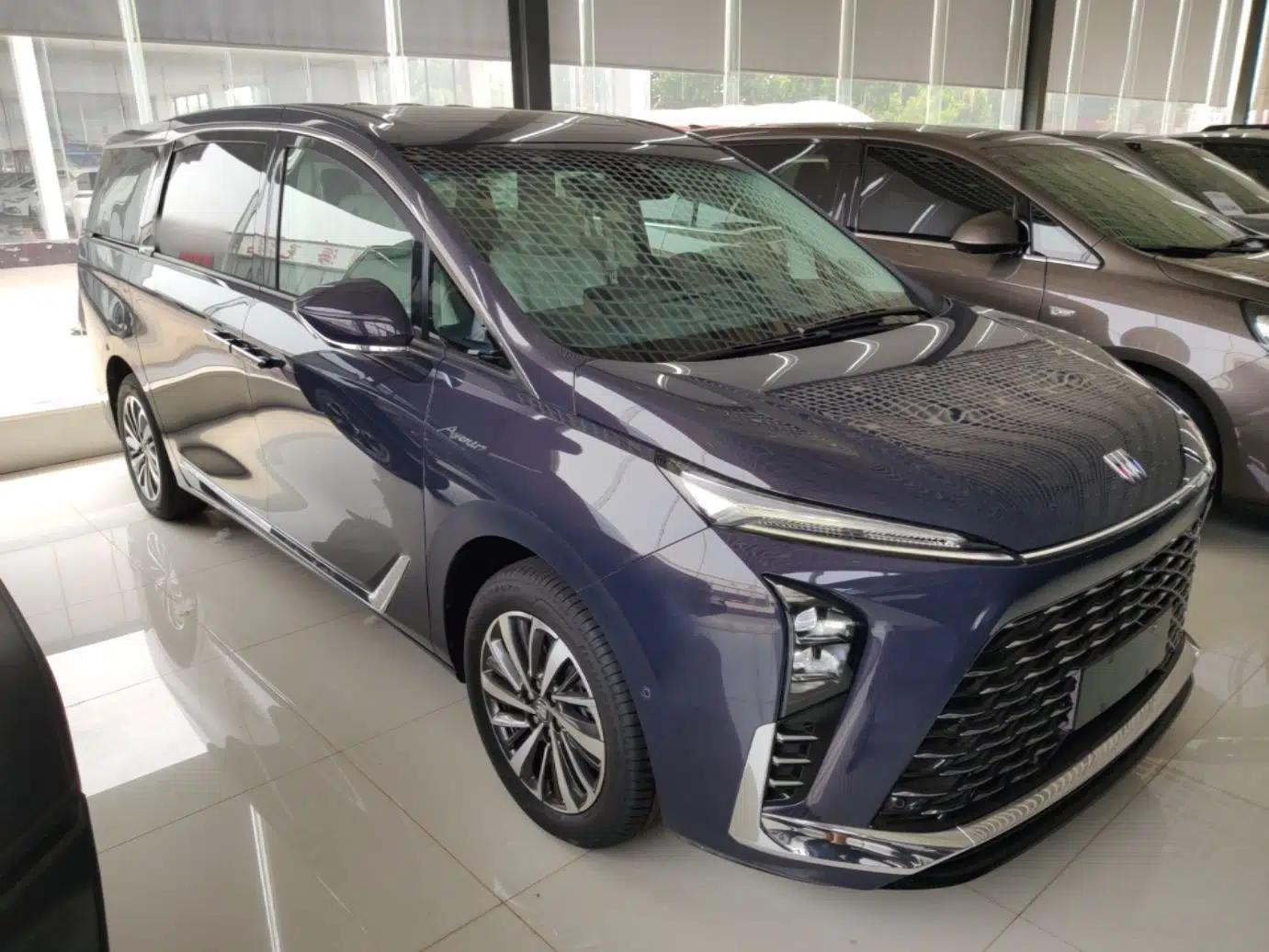 Buick GL8 New Energy 2026 Model Lu Zun Luxury Edition — миниатюра 3