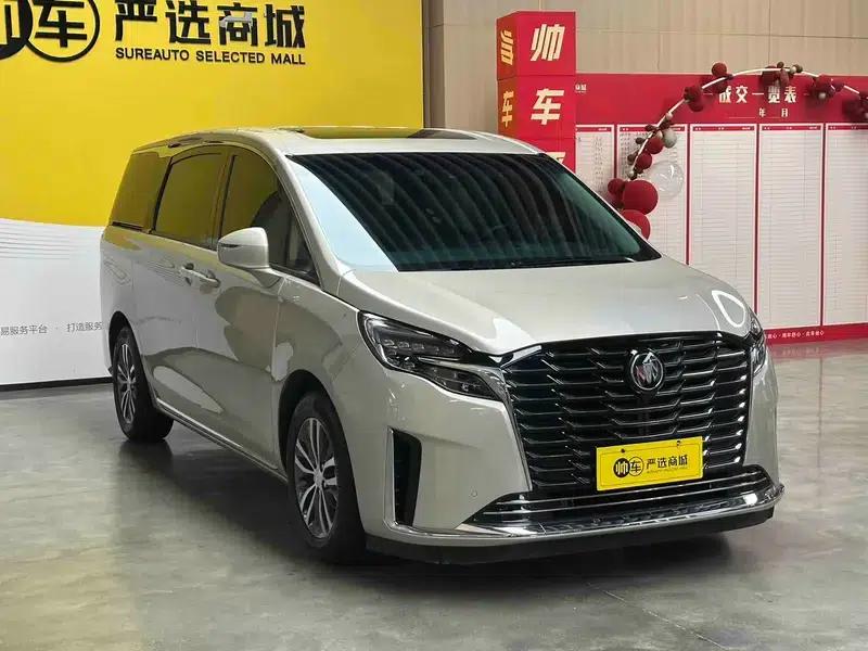 Buick GL8 2023 ES Avantgarde 2.0T Premium Edition — миниатюра 3