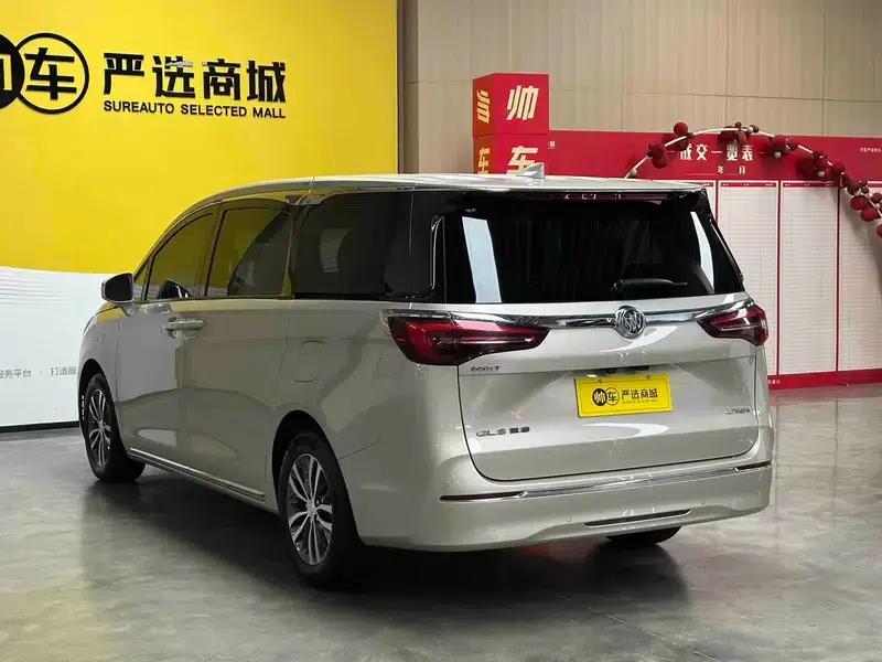 Buick GL8 2023 ES Avantgarde 2.0T Premium Edition — миниатюра 5