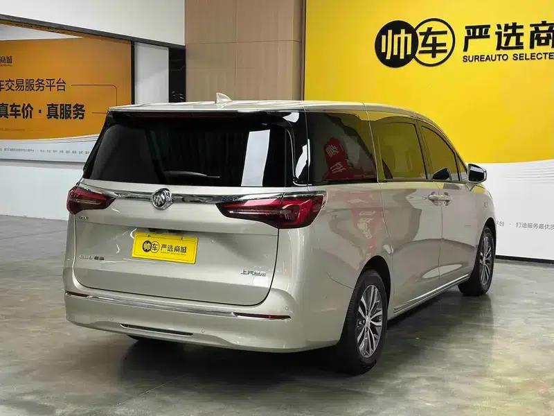 Buick GL8 2023 ES Avantgarde 2.0T Premium Edition — миниатюра 7
