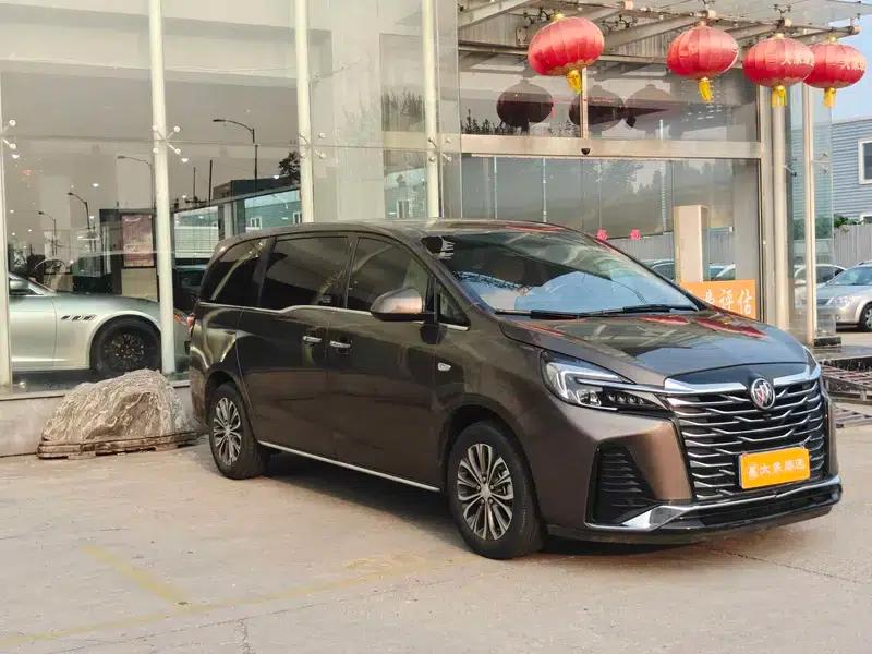 Buick GL8 2023 Land Business Class 2.0T Luxury Edition — миниатюра 3