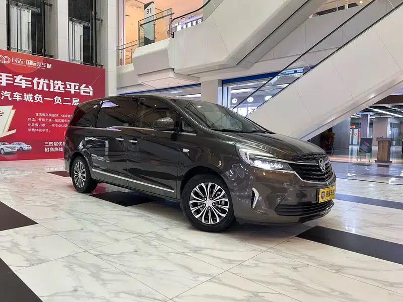 Buick GL8 2021 Land Business Class 652T Luxury — миниатюра 3