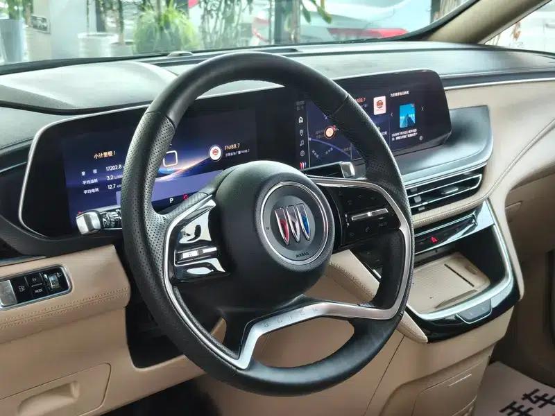 Buick GL8 PHEV 2025 Land Cruiser 1.5T Premium Edition — миниатюра 12