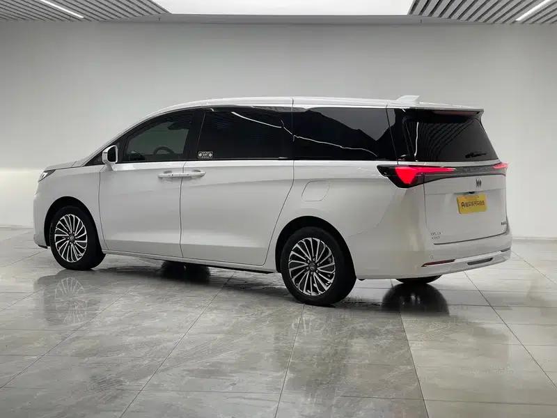 Buick GL8 PHEV 2025 Land Cruiser 1.5T Premium Edition — миниатюра 5