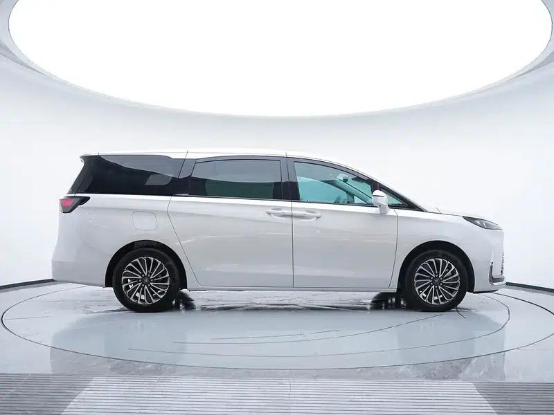 Buick GL8 PHEV 2025 Land Cruiser 1.5T Premium Edition — миниатюра 8
