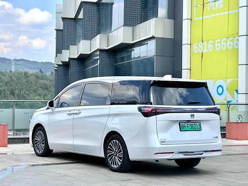 Buick GL8 PHEV 2025 Land Cruiser 1.5T Premium Edition — миниатюра 5