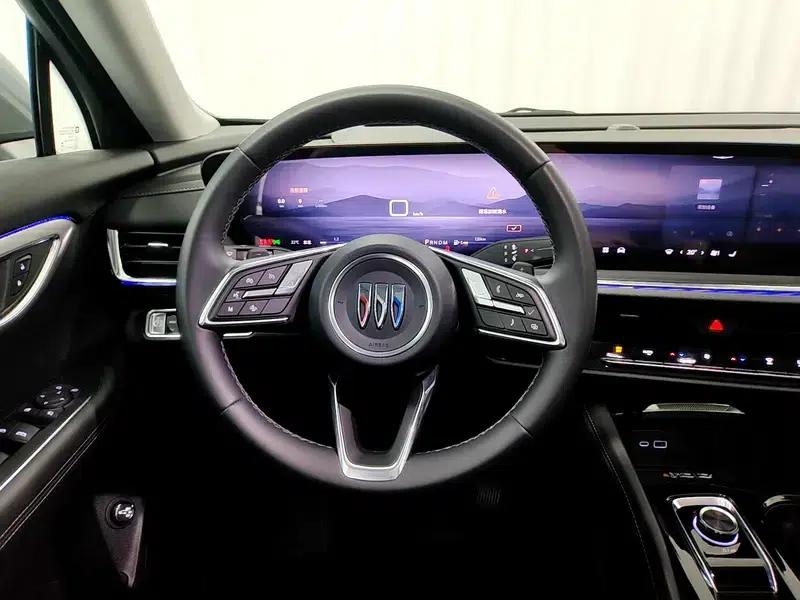 Envision S 2025 25T Platinum Edition — миниатюра 16